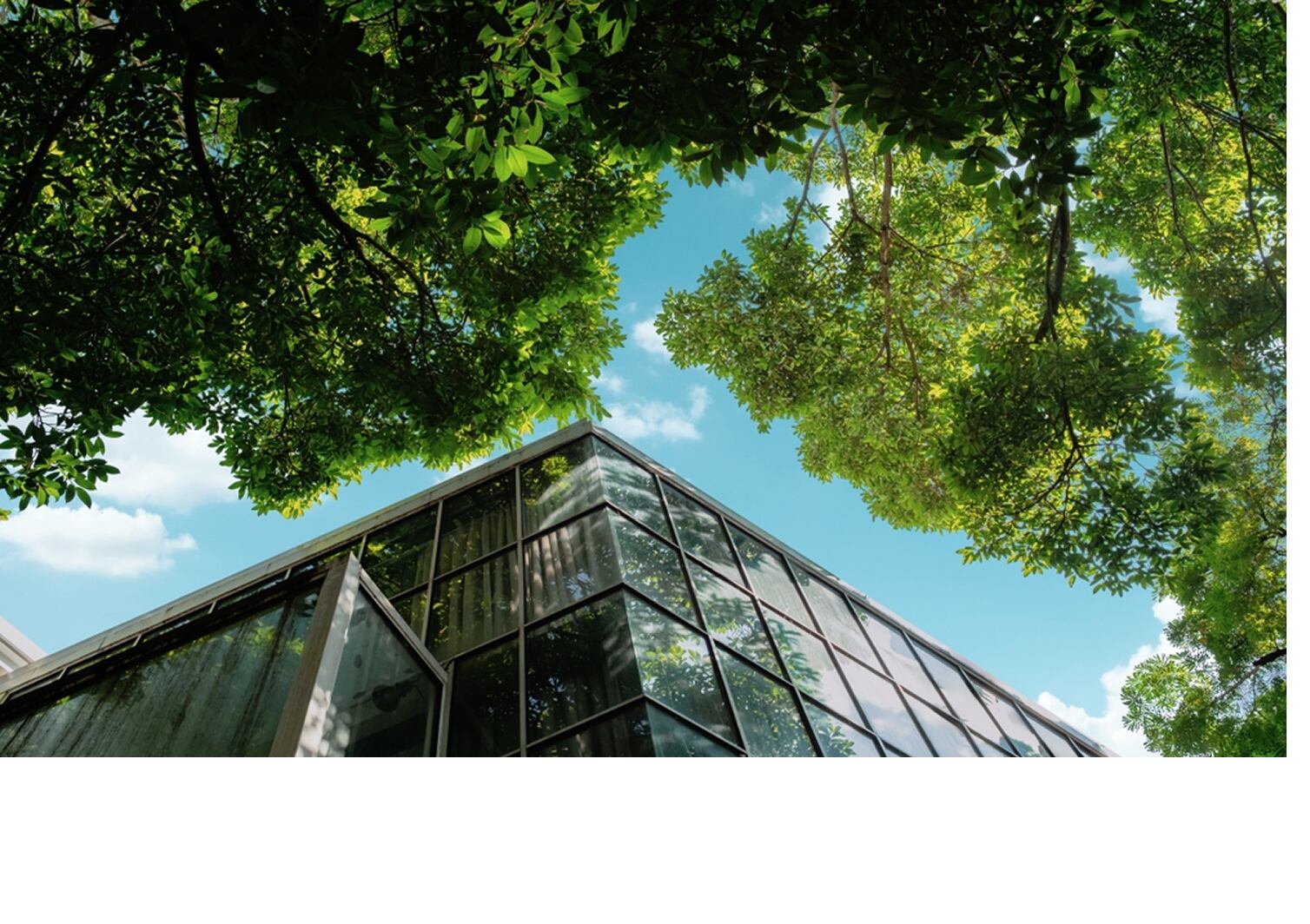 La directiva señala que esta hoja de ruta se construye sobre prácticas que la compañía ha desarrollado durante su trayectoria y que ahora tendrán seguimiento técnico y verificación permanente.