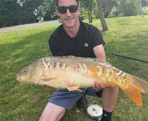 La pareja había estado en una "relación disfuncional, abusiva y altamente volátil que comenzó en 2021" y se "caracterizó por un ciclo de separación y reconciliación" (