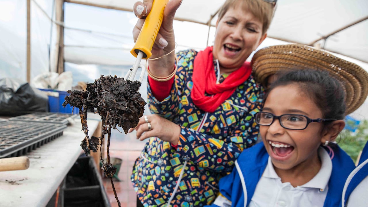Los Praes son una herramienta muy útil en el esquema de educación ambiental, siempre y cuando respondan a procesos y vinculen realmente a los estudiantes. Foto: Diana Rey/Semana - Colombia hoy.