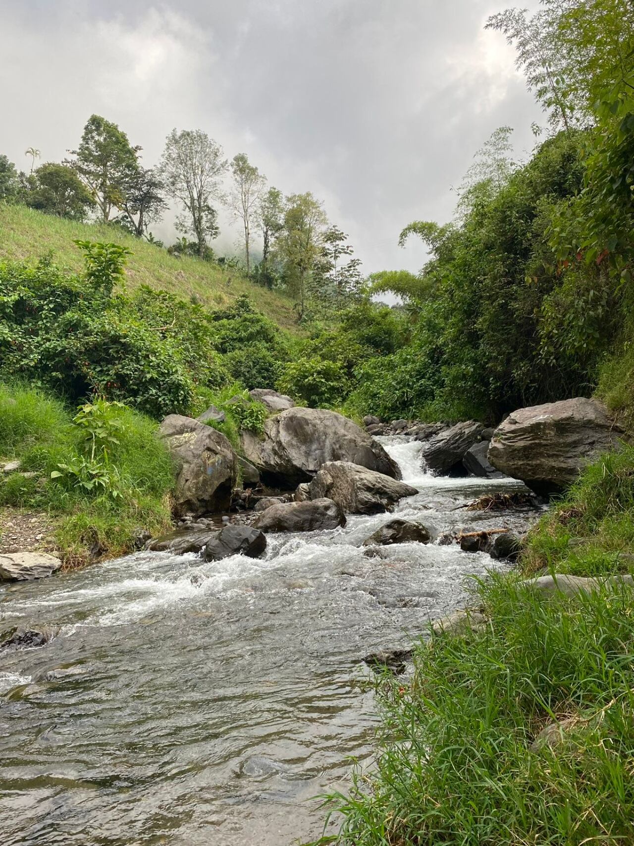 Río Ingenio, Sandoná