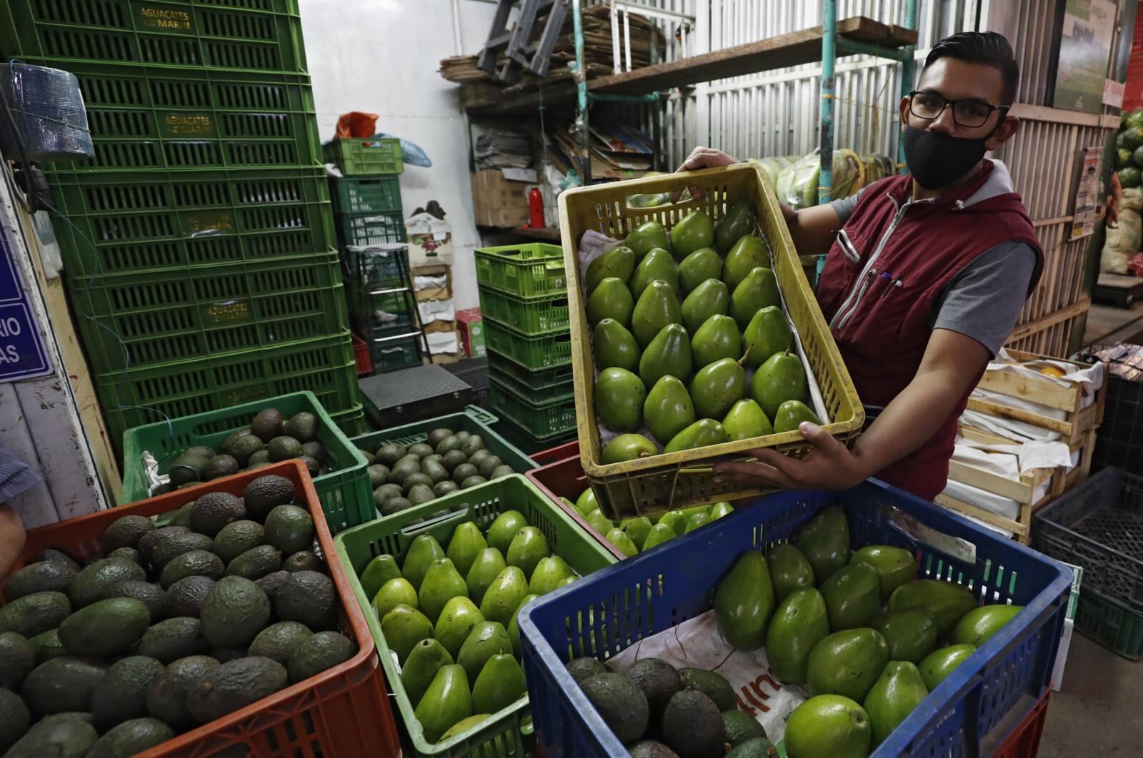 Solo en 2020 se exportaron desde Colombia más de 67.000 toneladas de aguacate hass.