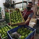 Solo en 2020 se exportaron desde Colombia más de 67.000 toneladas de aguacate hass.