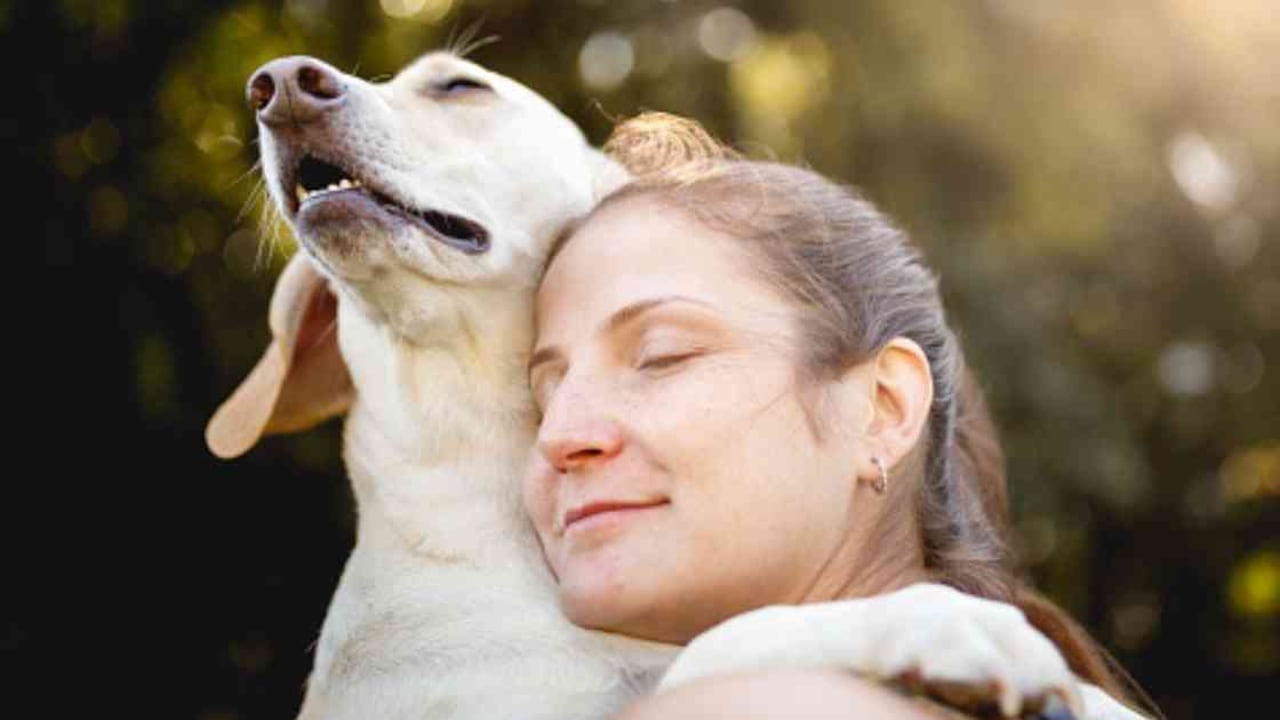 Las invitadas también dialogaron sobre la legislación actual para proteger a los animales. Foto: Getty.