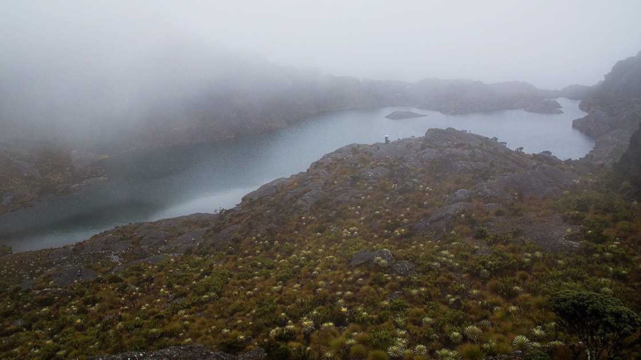 Páramo de Santurbán, el primer ecosistema de estas características delimitado en nuestro país.