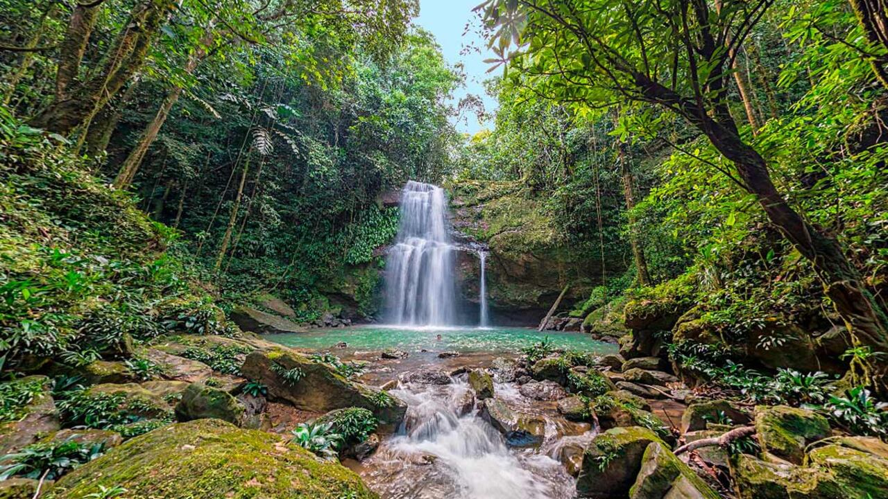 Atractivos naturales del Valle del Cauca en la Reserva Natural El Danubio.
