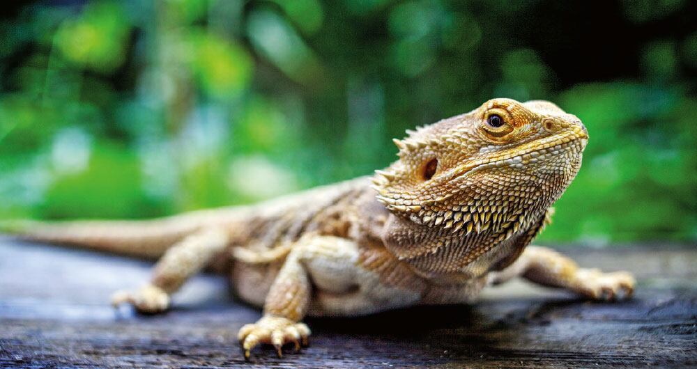 Los niños no aprendieron en pandemia_3