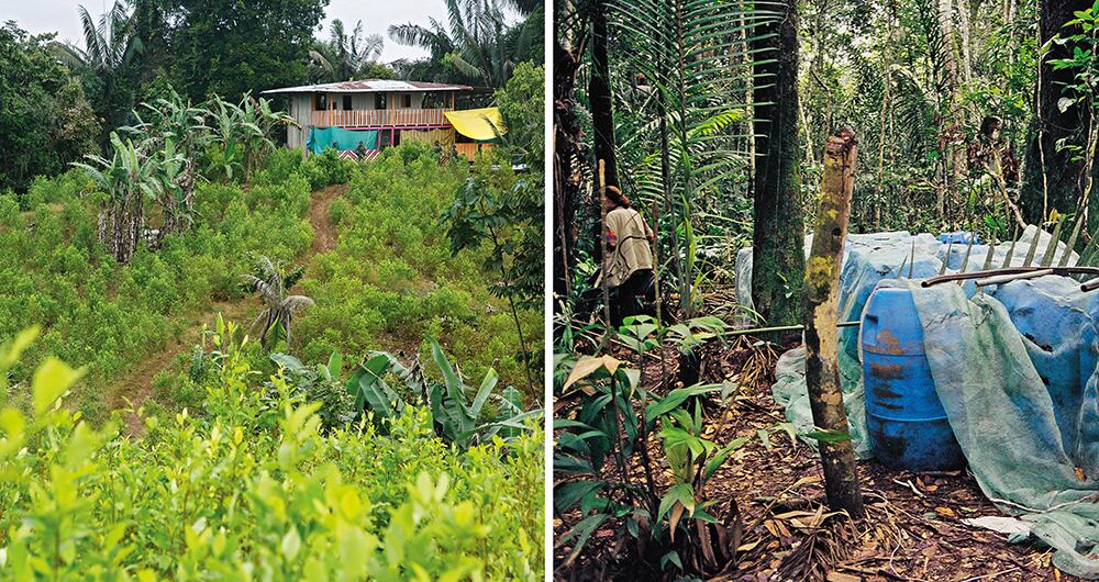 El tema de la hoja de coca y todos los derivados que tiene es supremamente complejo.