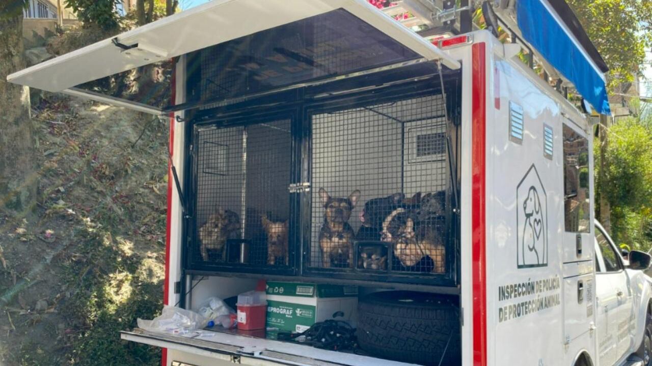 También fue imputado un hombre que fue señalado de atacar con arma blanca a un perro en Bucaramanga.