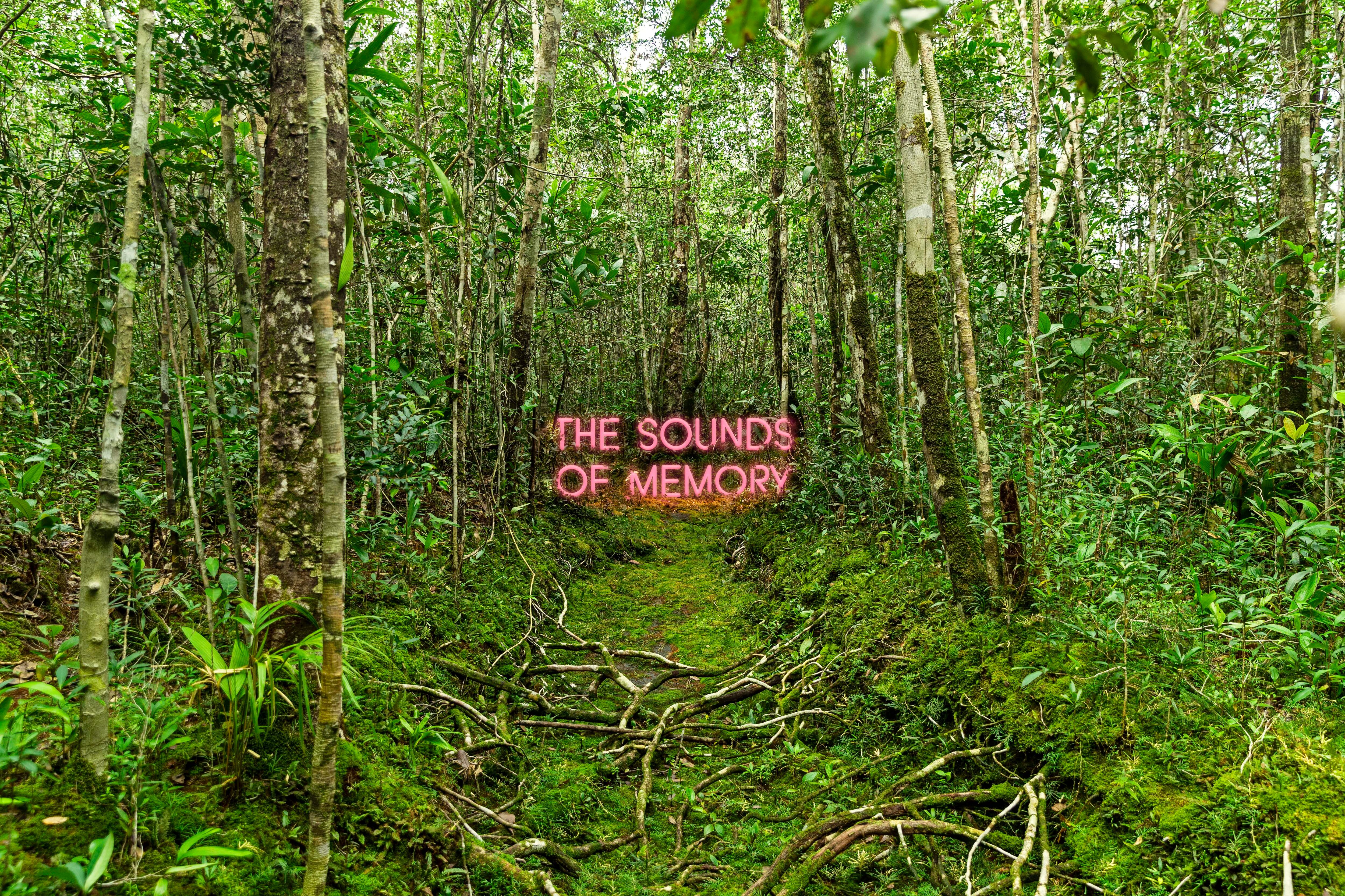 Juan Walker: The sounds of memory, Adrián Ibáñez Galería, Circuito San Felipe