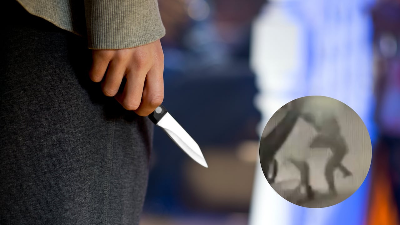 En 2025 se registraron 621 feminicidios, un crimen cada dos días.