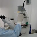 En Antioquia se encuentra el foco más grande del mundo con este tipo de alzhéimer