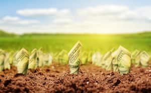 Con la primavera asomando, muchos individuos buscan caminos para atraer prosperidad a sus vidas.