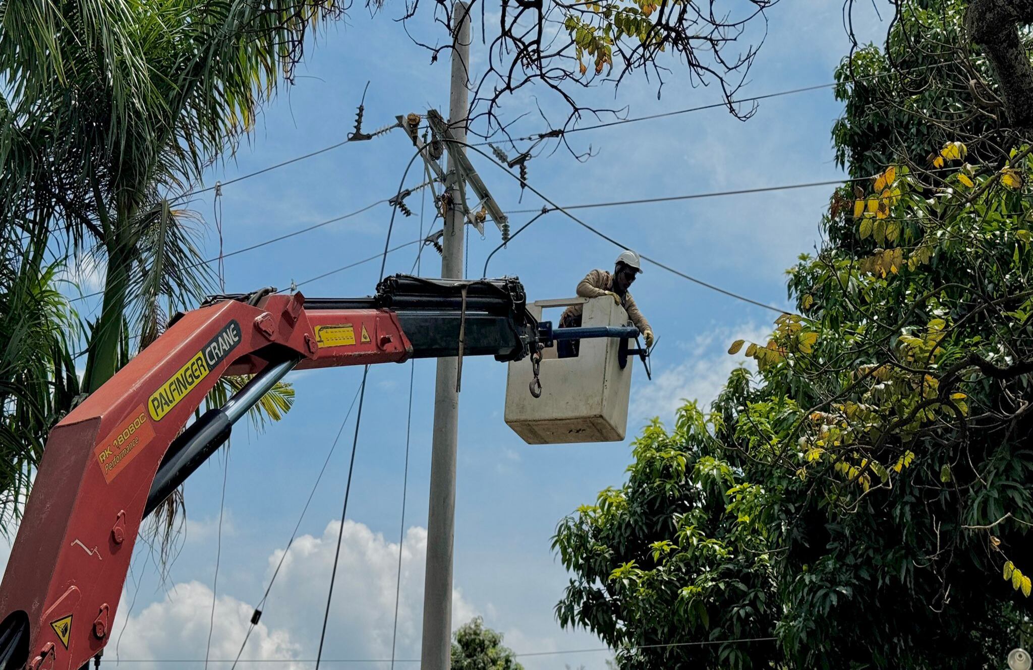 La empresa explicó que estas labores permitirán mejorar la confiabilidad del servicio eléctrico.