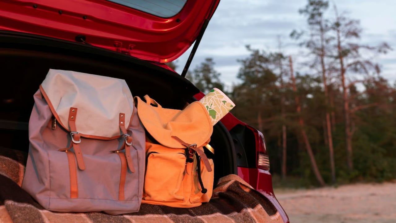 Los pasajeros pueden llevar sus bolsos personales al interior del vehículo.