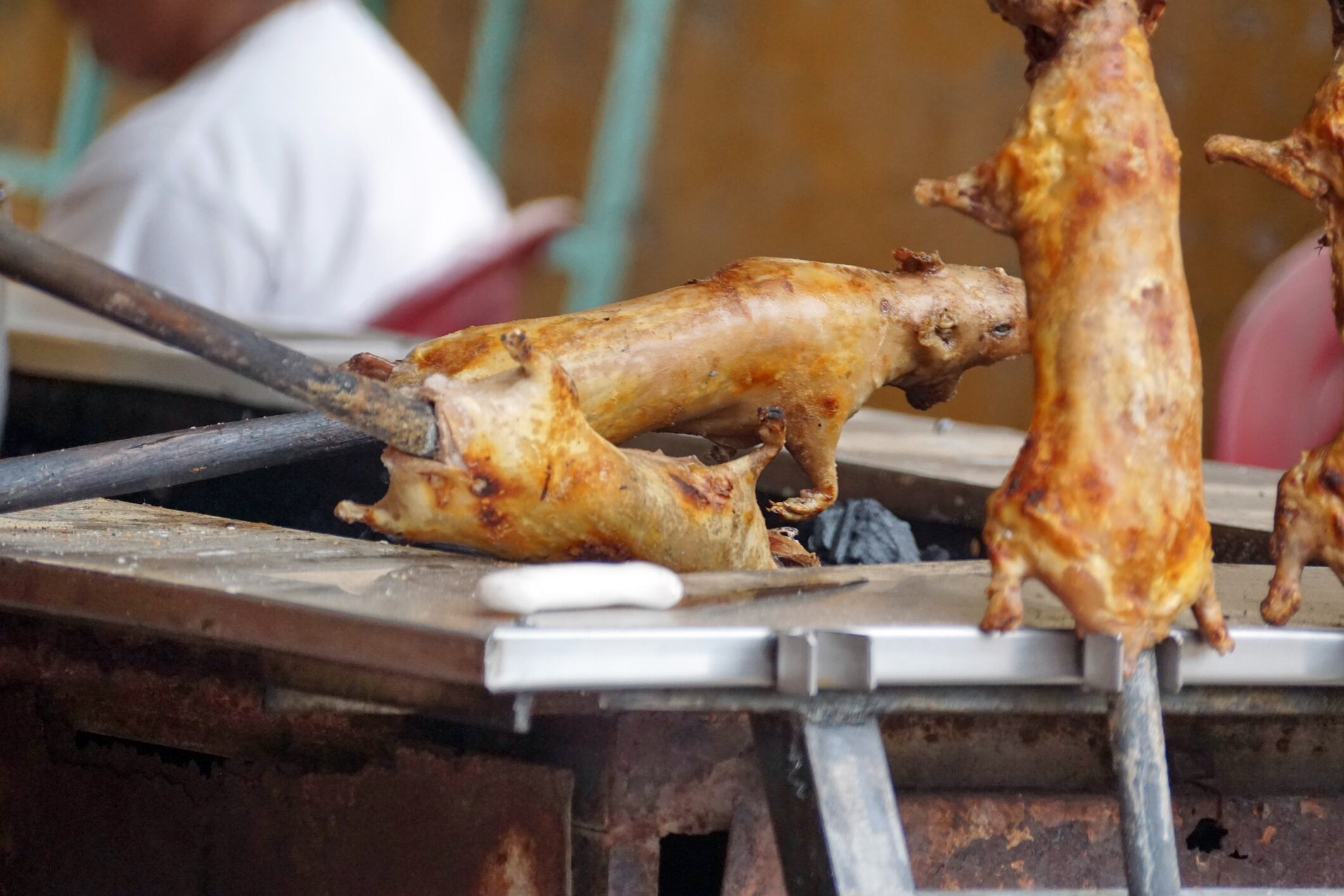 El cuy normalmente se prepara asado.