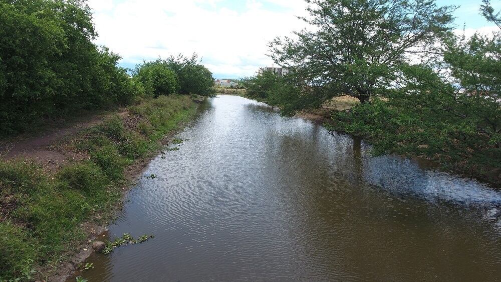 Los humedales son ecosistemas que se encuentran en proceso de conservación.