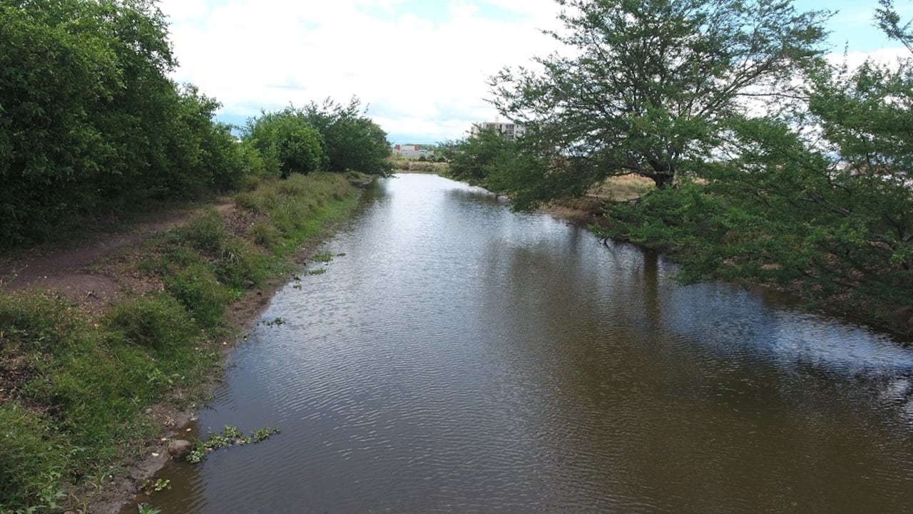 Los humedales son ecosistemas que se encuentran en proceso de conservación.