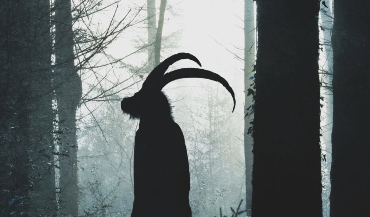 Como parte de los ritos que se adelantaron a Arely, se describió que “para sacarle el demonio”, los tres adultos; la madre, el tío y el abuelo, indujeron el vómito de la niña frente a un altar