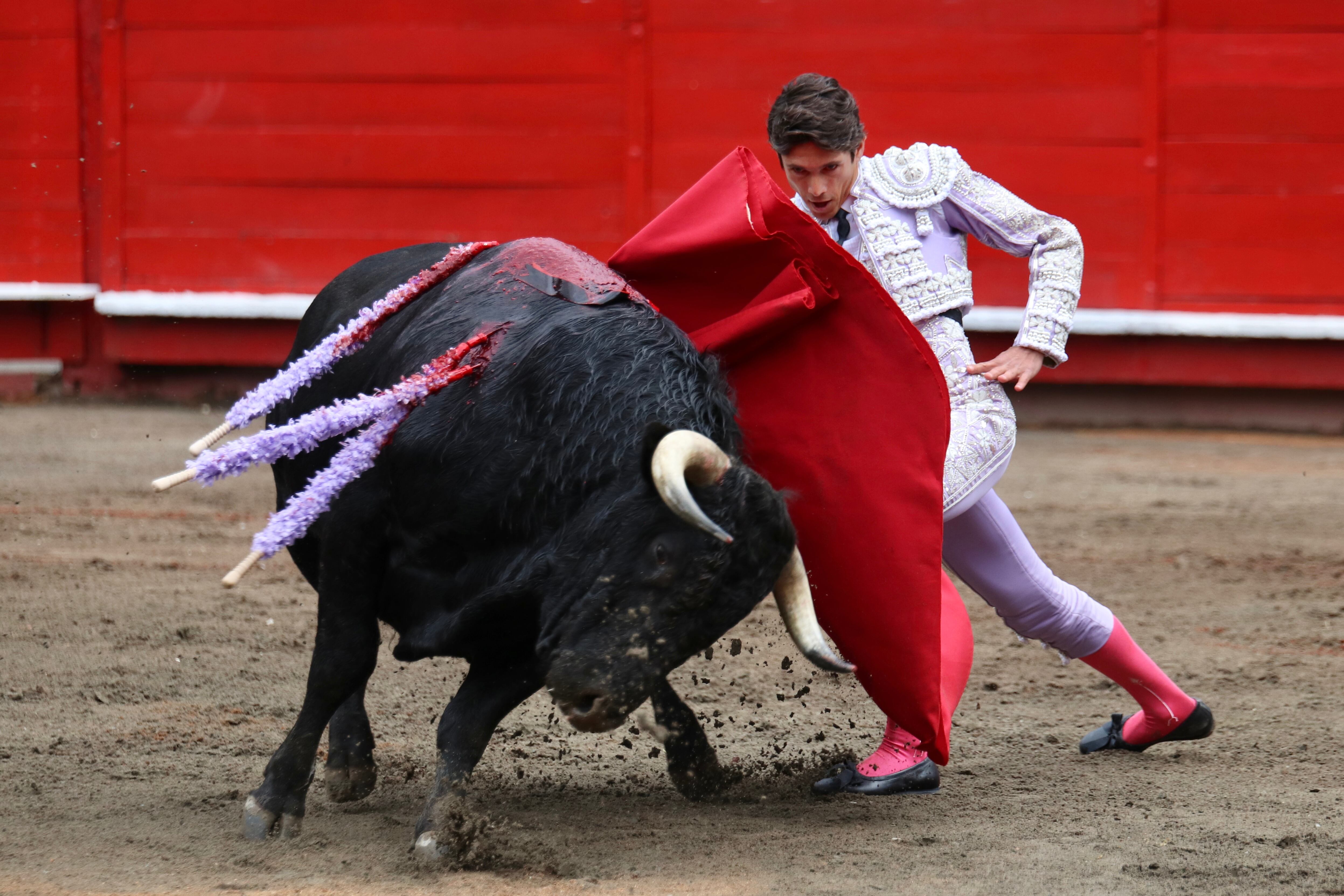 El torero francés Sebastián Castella demostró temple, quietud y poderío con la muleta, pero no logró un triunfo de peso por matar trasero y defectuoso a los toros de las Ventas del Espíritu Santo, desiguales de juego y algunos con problemas en las patas traseras.