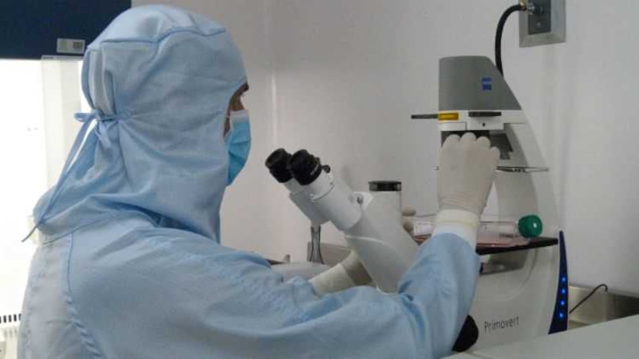 Un niño que se quemó de gravedad en navidad pudo recuperar el 90% del músculo afectado, así como el 100% del tendón y el 95% de la piel gracias a un tratamiento con células madre dental. Foto: Biodencell