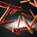 Las zanahorias puede ayudar a bajar de peso.