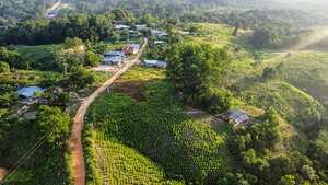 Más de 22.000 hectáreas de hoja de coca hacen de Tibú el municipio con más narcocultivos del mundo.