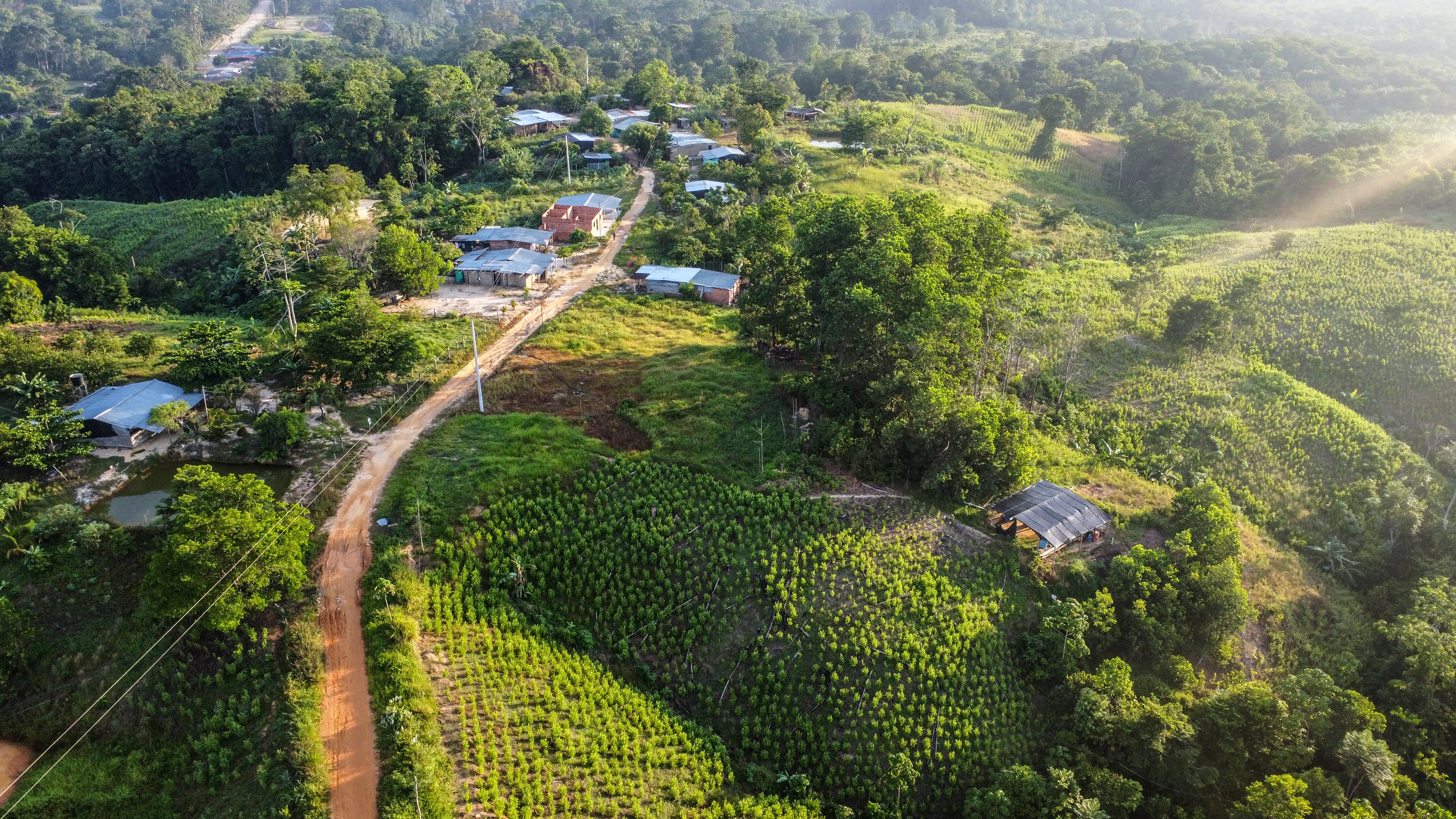 Más de 22.000 hectáreas de hoja de coca hacen de Tibú el municipio con más narcocultivos del mundo.