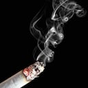 La vacuna produce anticuerpos que evitan que la nicotina llegue al cerebro y produzca placer en el fumador.