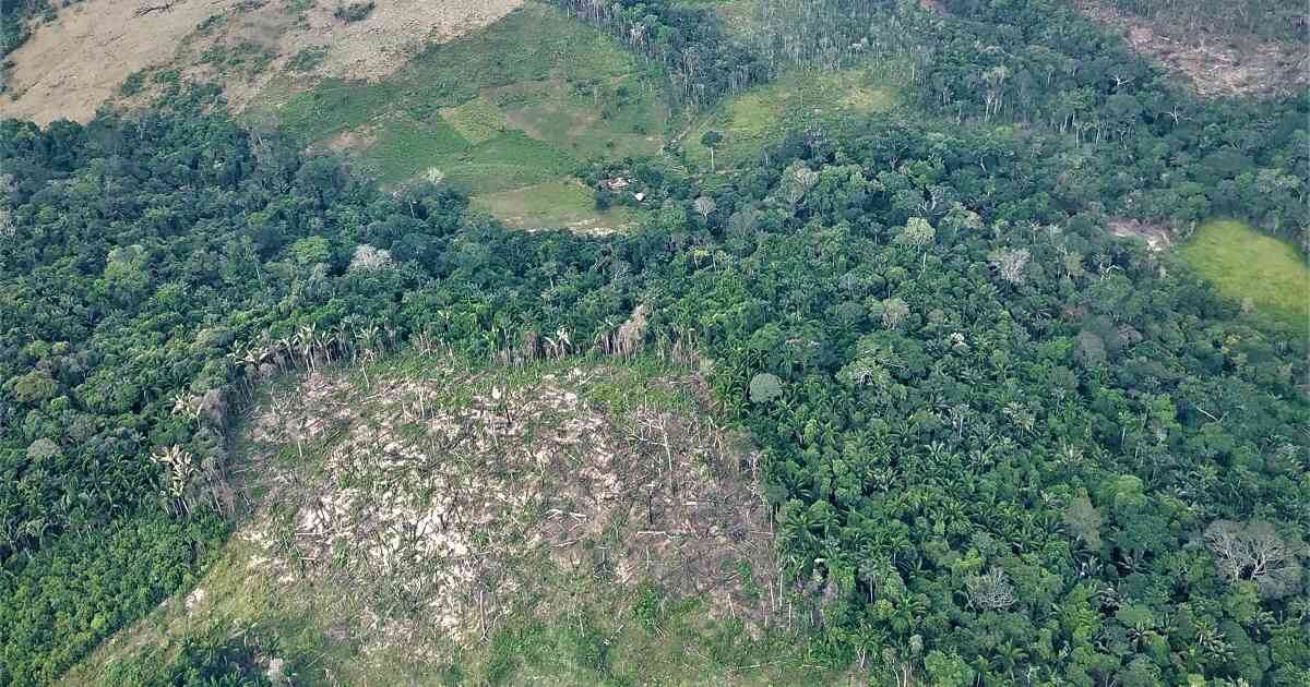 El año pasado, el presidente de la República, Iván Duque, y el ministro de Ambiente, Carlos Correa, se comprometieron ante los ojos del mundo a reducir las emisiones de gases de efecto invernadero en un 51 por ciento para el 2030. Foto: Jhon Barros.