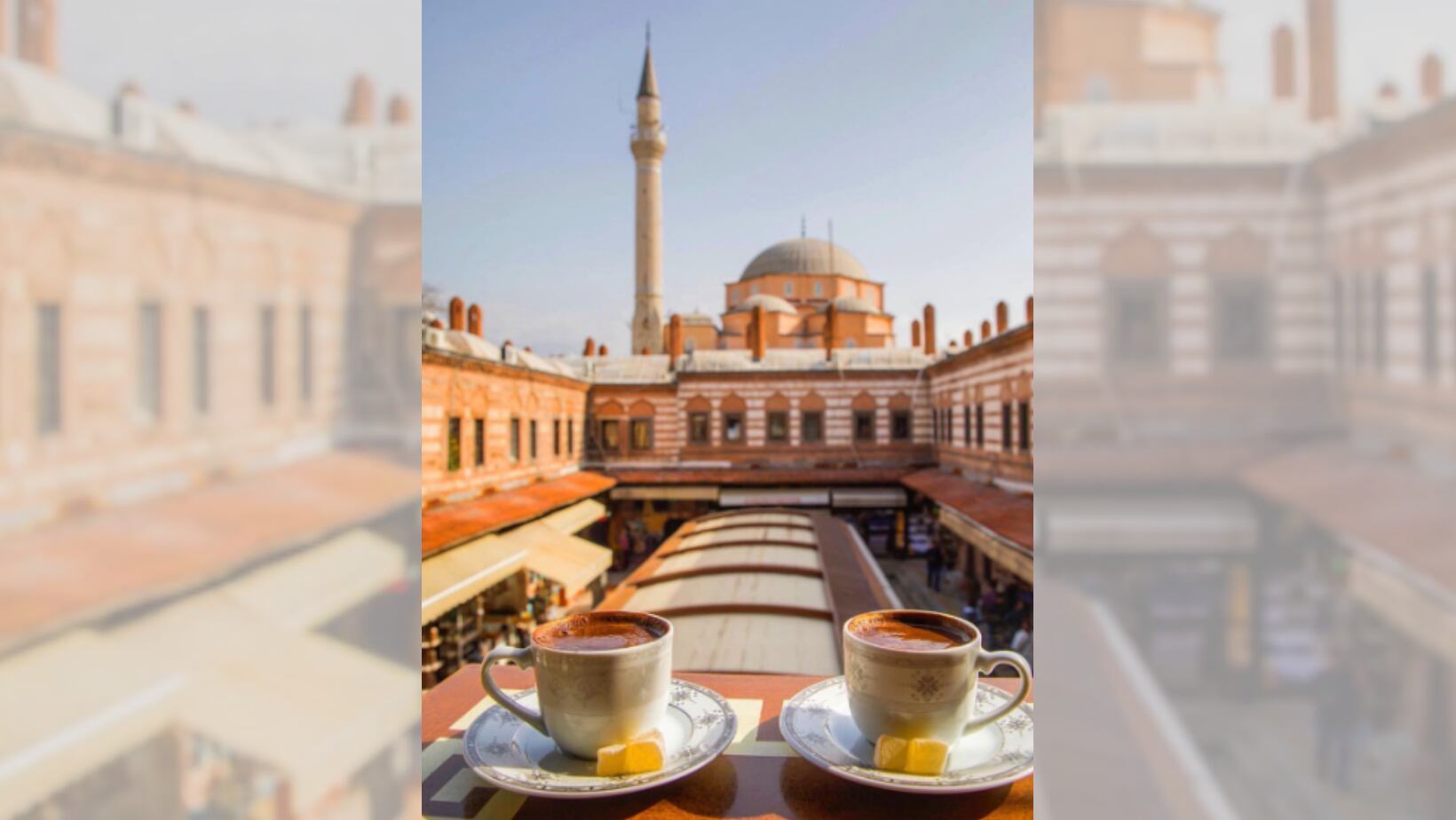 Permite hacer búsquedas específicas por tipos de platos o ingredientes,