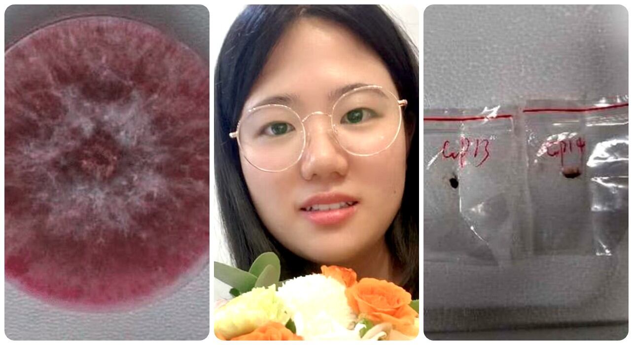 unqing Jian (en la foto), de 33 años, investigador postdoctoral de la Universidad de Michigan, ha sido acusado junto con Zunyong Liu, de 34 años, por el siniestro complot.