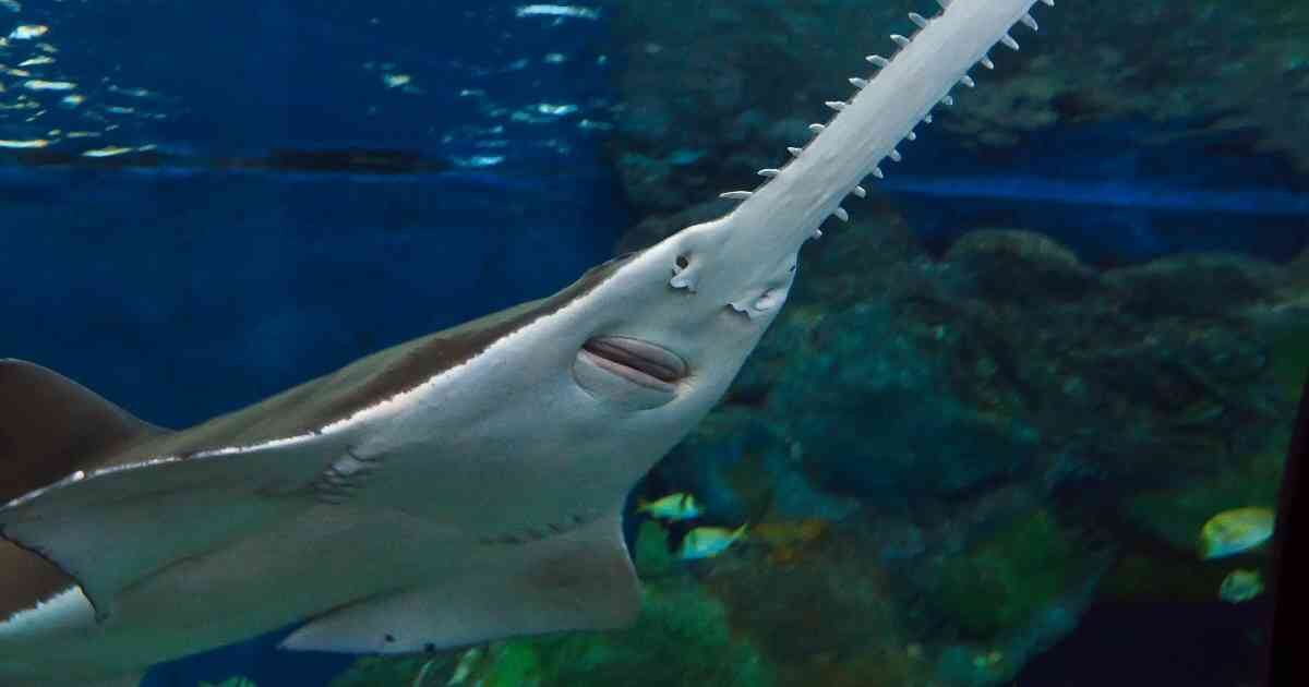 El informe fue publicado el miércoles de esta semana. Foto: Getty Images.