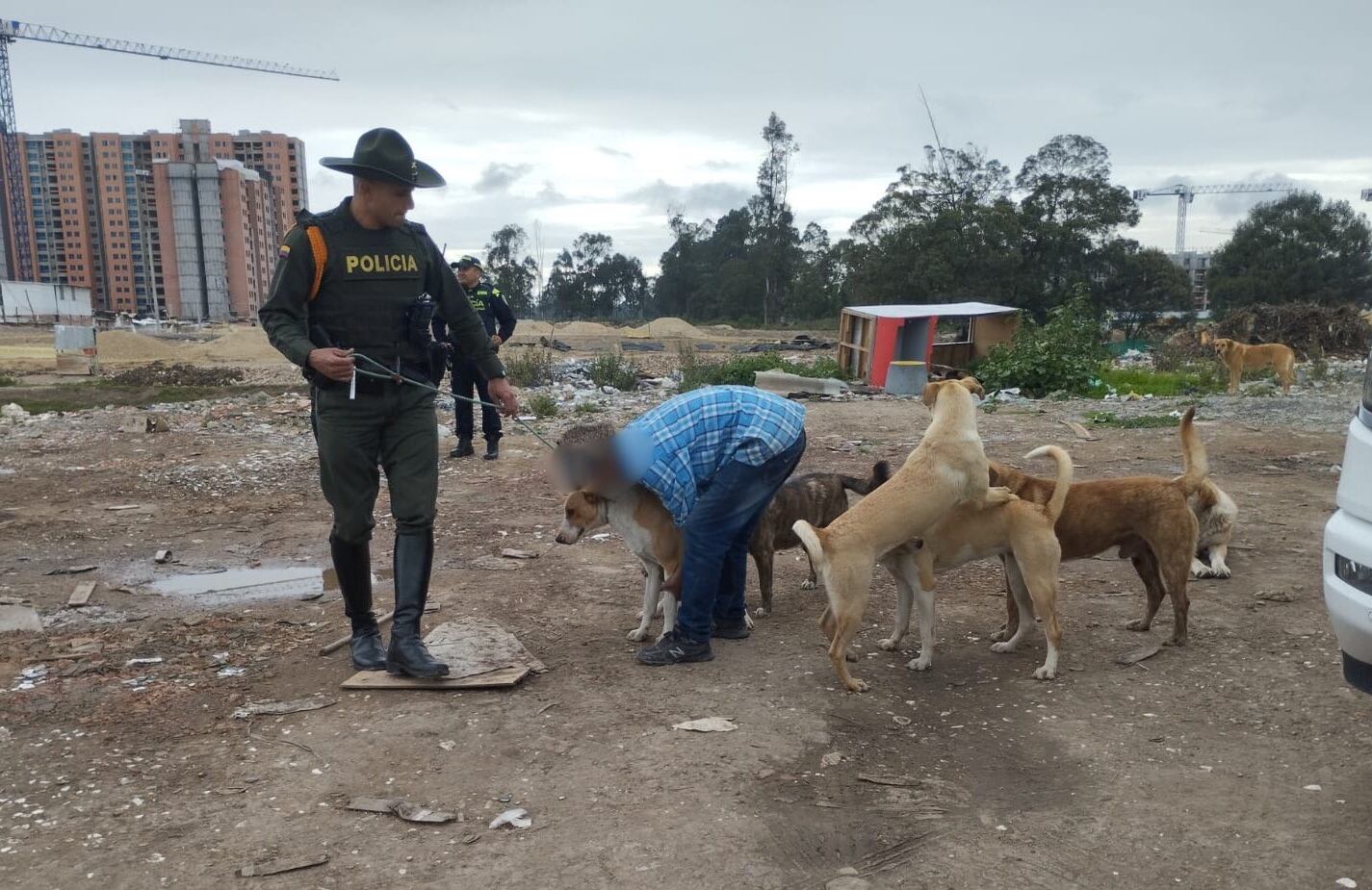 Los caninos fueron recuperados por la Secretaría de Salud y puestos en observación durante 15 días.
