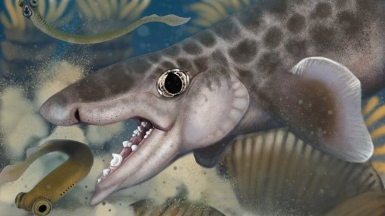 Propuesta de reconstrucción de la nueva especie científica Macadens olsoni, descubierta a través de la investigación de fósiles en el Parque Nacional Mammoth Cave.