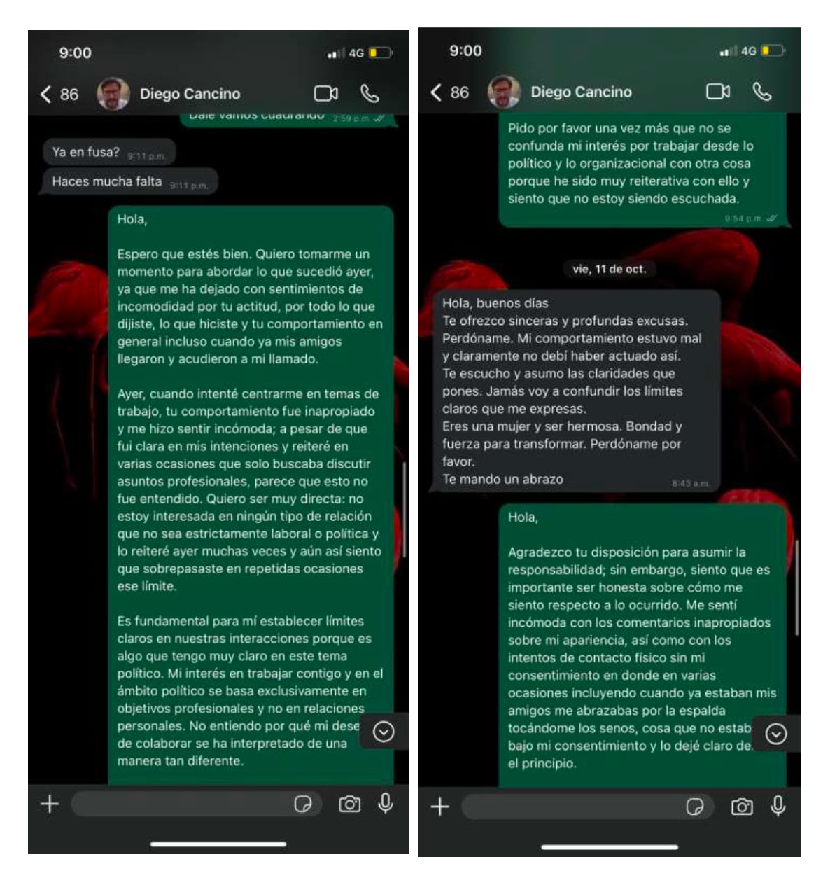 Chats de Diego Cancino con Viviana Vargas.