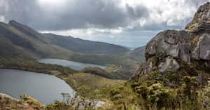 El Parque Nacional Natural Chingaza es ideal para observar especies de flora y fauna.