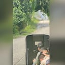 Momento exacto en que el Ejército desactiva, controladamente, un artefacto explosivo en Ituango (Antioquia).