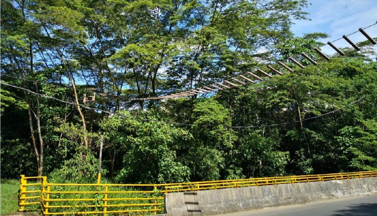 Pasafaunas en el Meta