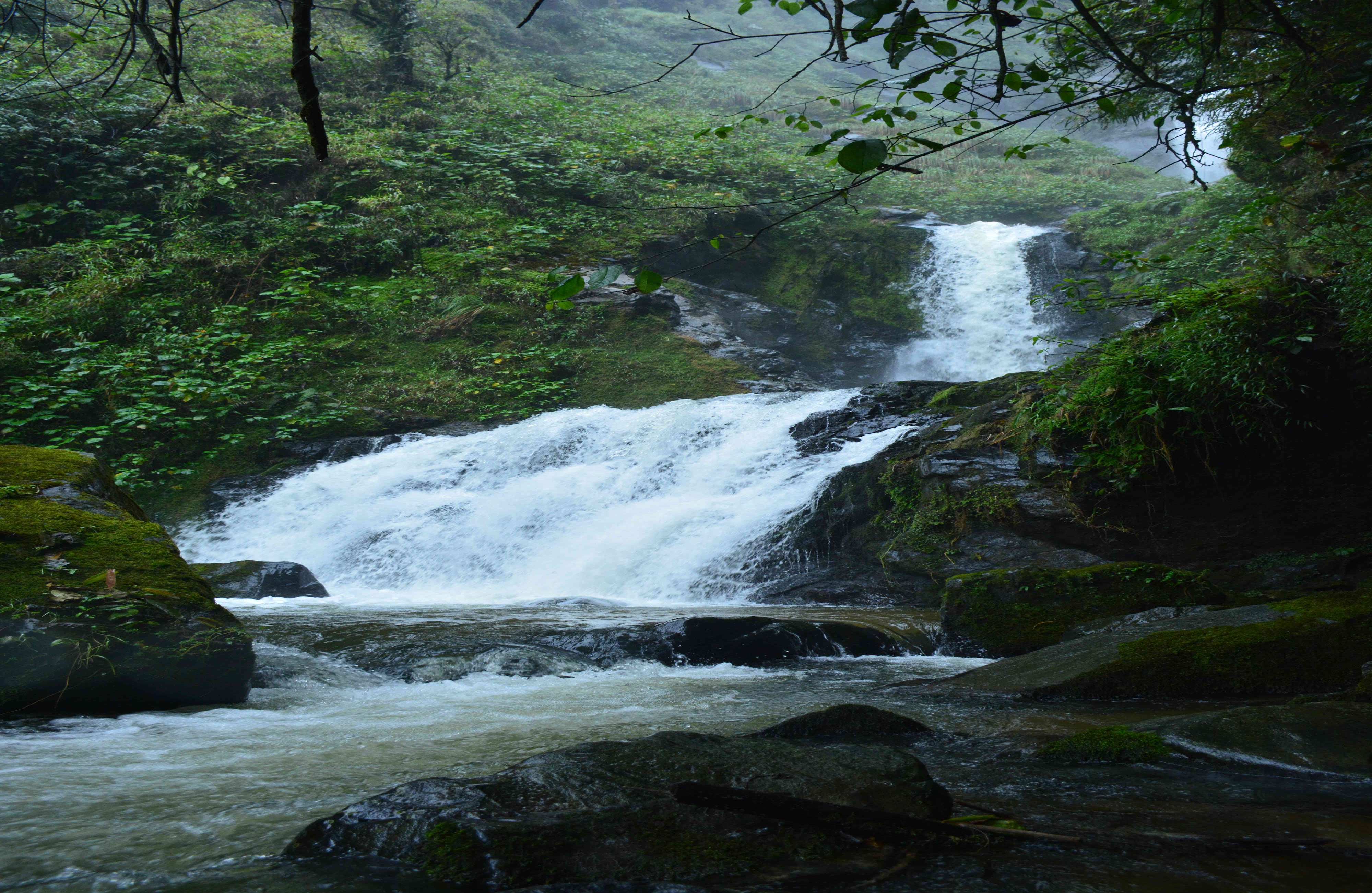 El parque está ubicado entre los 1.300 y 2.600 metros sobre el nivel del mar. Foto: Ingenio Providencia