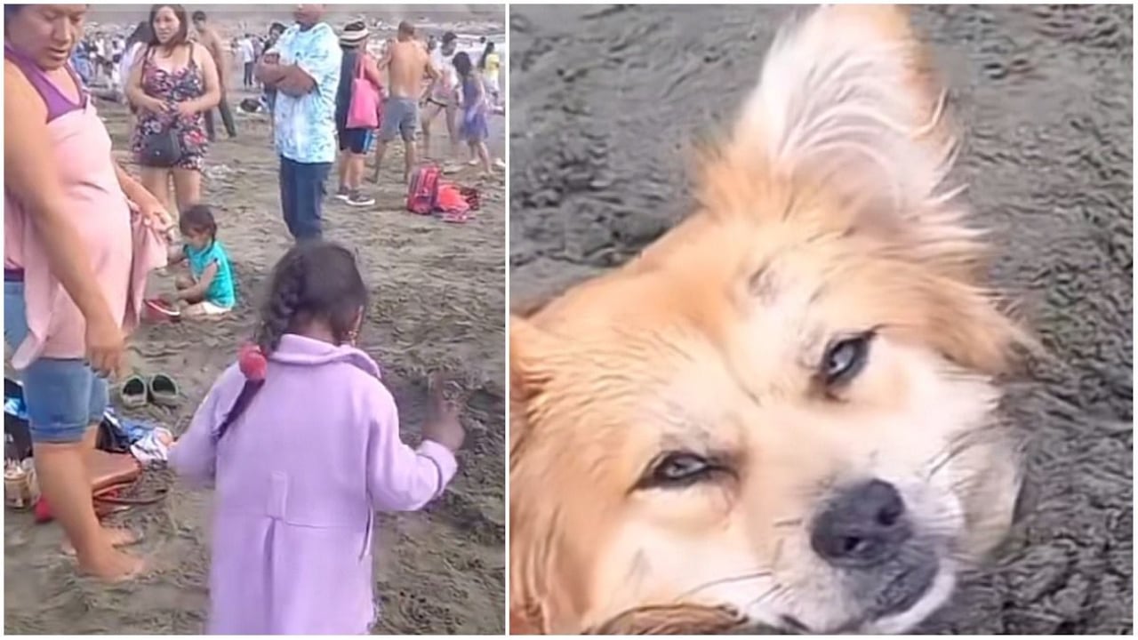 El curioso hecho fue captado por la usuaria de Tiktok @lasaventurasdebela quien inicialmente enfoca un grupo de personas que se encuentran departiendo en la playa.