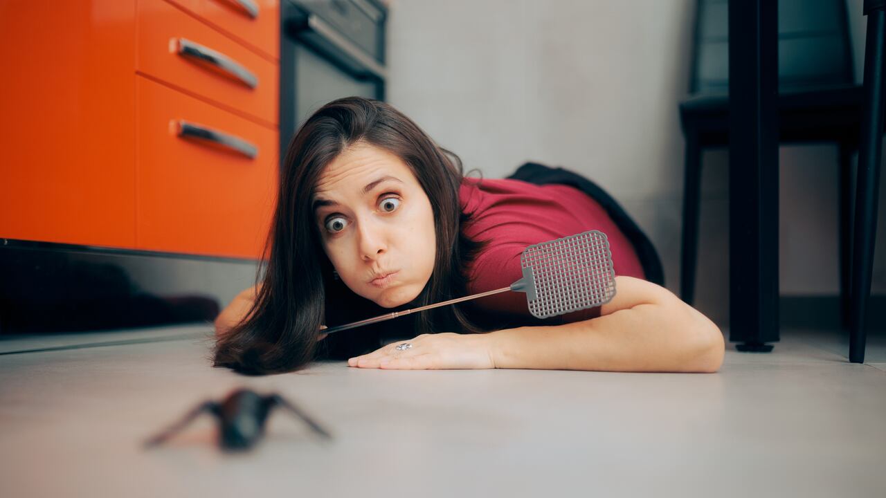 La presencia de cucarachas en el hogar es una amenaza para la salud de las personas.