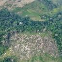 No hay cifras claras de cuál fue el comportamiento de la deforestación en 2020. Foto: Jhon Barros - Colombia hoy.