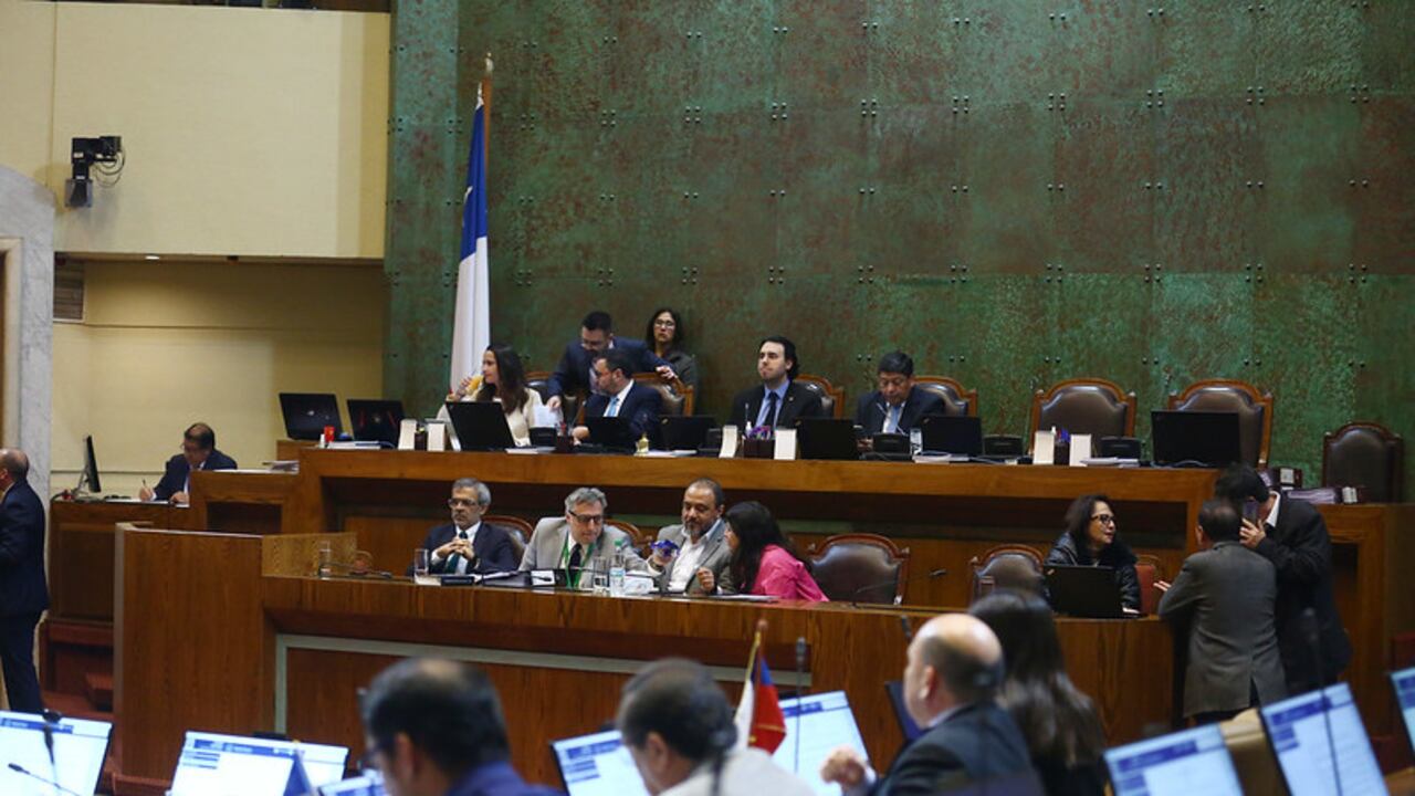 CÁMARA DE DIPUTADAS Y DIPUTADOS