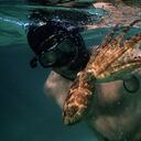 En un principio, Craig Foster grabó el material por su cuenta, pero después contó con la colaboración de Pippa Ehrlich, directora del documental, y varios camarógrafos e investigadores.