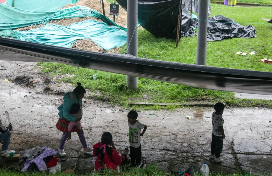 Integrantes de la comunidad indígena Emberá, en su mayoría provenientes de la Unidad de Protección Integral (UPI) La Rioja, se trasladaron nuevamente al Parque Nacional.