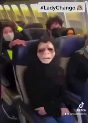 El video resultó ser un montaje.