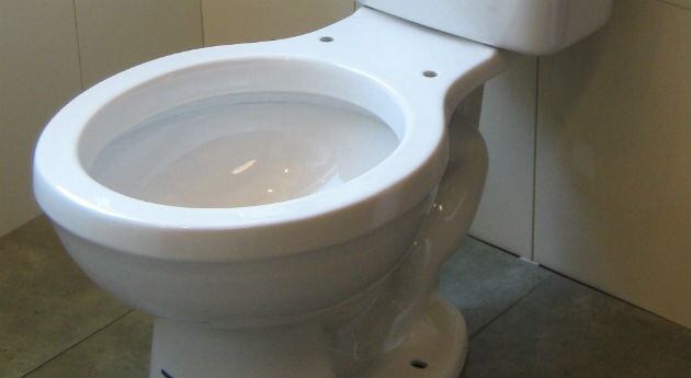 La serpiente salió del inodoro. 