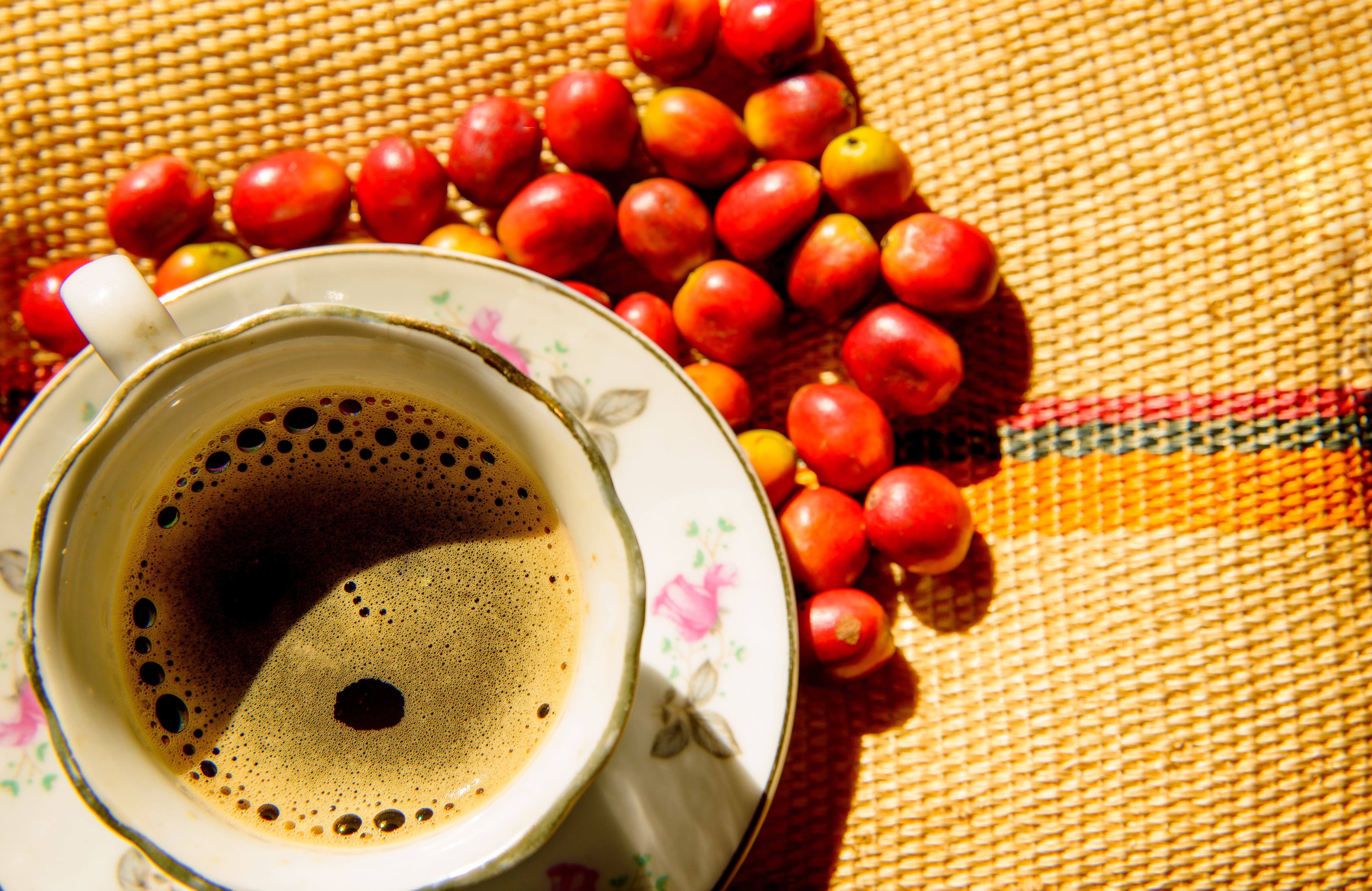 Ahora es posible comprarle café directamente a los caficultores nacionales de las distintas regiones, a través del marketplace Compro café de Colombia, que promueve La Federación. La descripción de cada producto en el portal funciona como una guía para dar a conocer los distintos sabores que se pueden descubrir en una taza de café producida en el país.