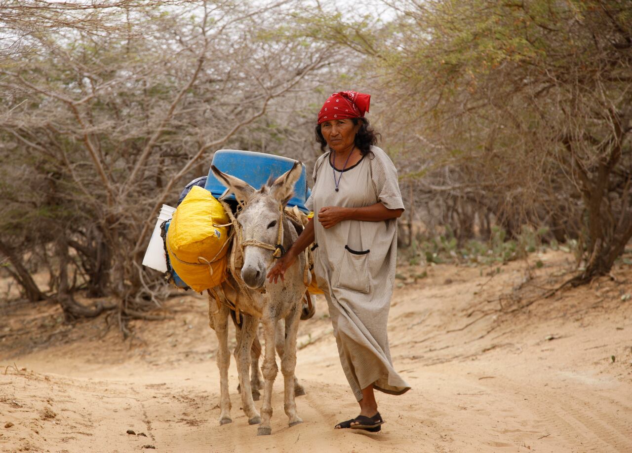 Pueblos Indigenas