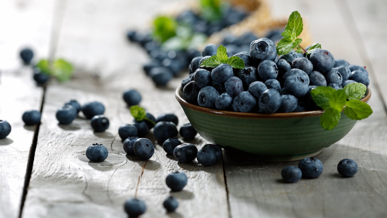 Arándanos: Estas son su propiedades antioxidantes y antibacterianas
